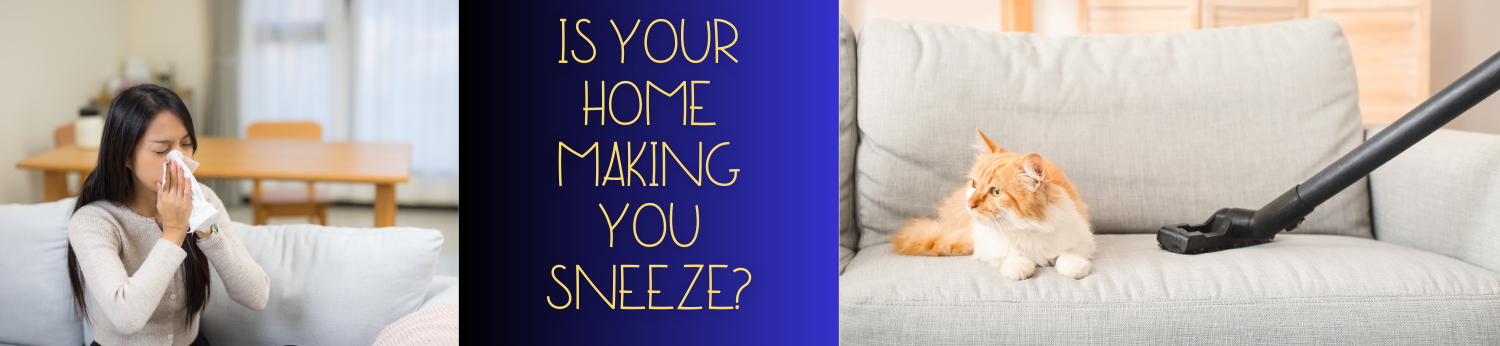 Fall Allergens Are Coming: How to Prep Your Home for Allergy Season